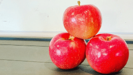 nystrom apples nystrom apples