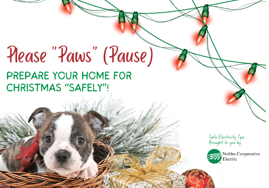 christmas pets
