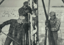 this photograph features ben hanson, gordy hanson, and bud harsma hand tapping power poles. the exact year is unknown.